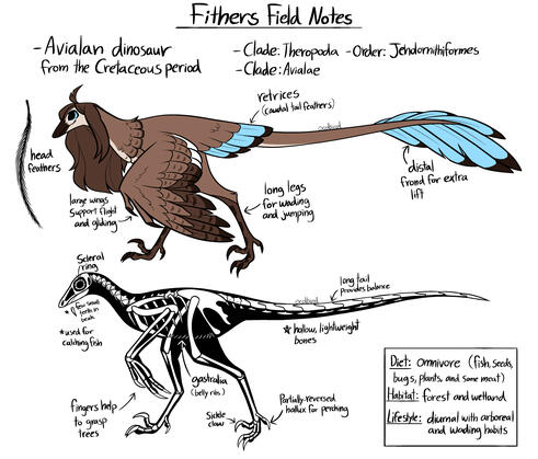 Fithers Field Notes