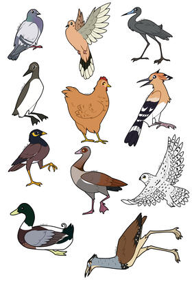 Bird Sticker Designs